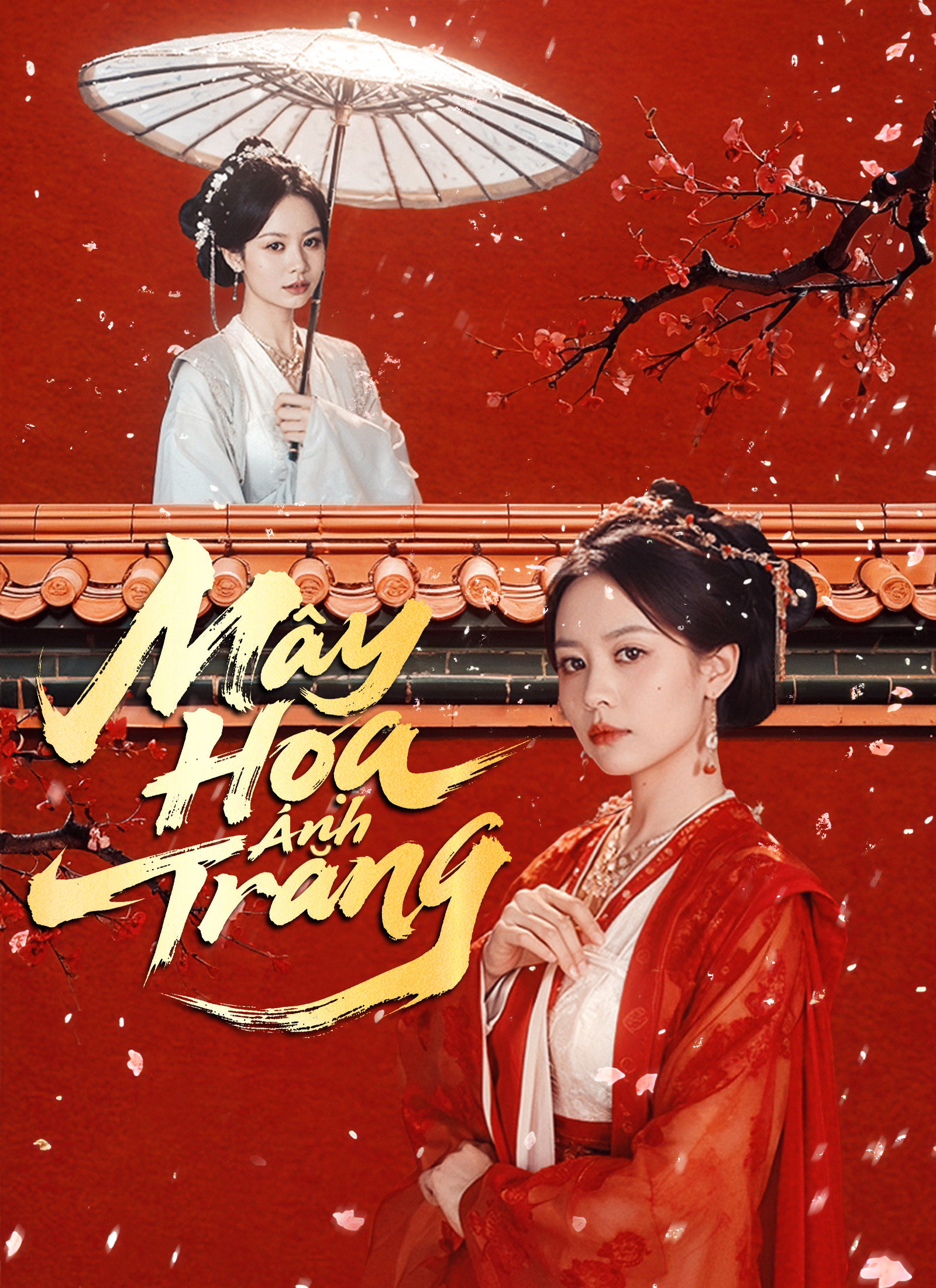 Mây Hoạ Ánh Trăng