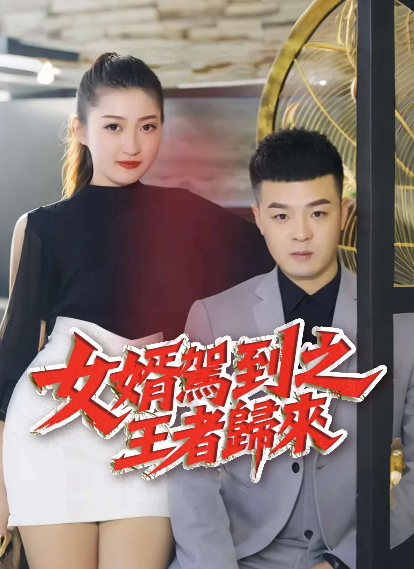 女婿駕到之王者歸來