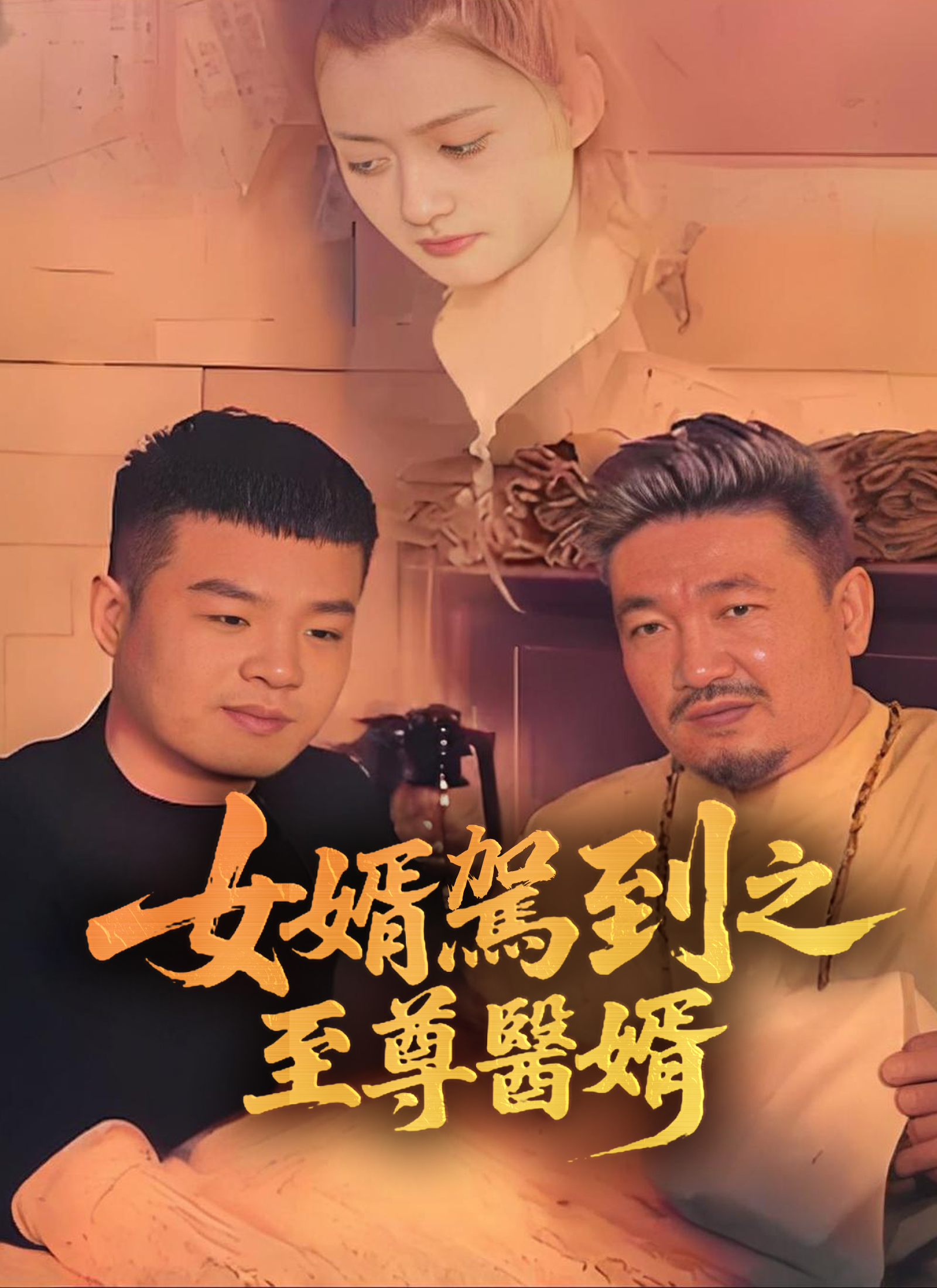 女婿駕到之至尊醫婿